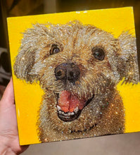 Load image into Gallery viewer, Pet Portrait Promo 6x6